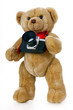Toy bear with a camera