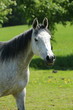 Foto: Kesser Araberblick Kesser Araberblick