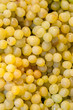 Photo: Green grapes background Green grapes background