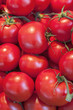 Photo: Tomato background Tomato background