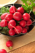 Frische Radieschen