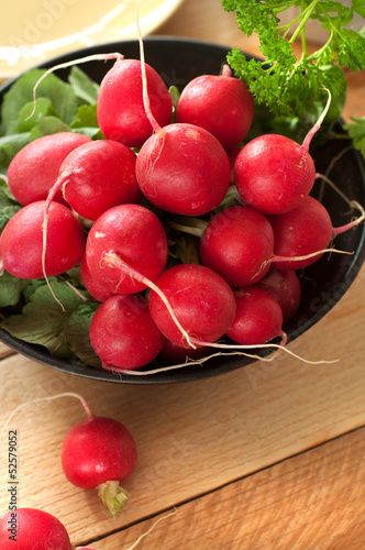 Photo: Frische Radieschen Frische Radieschen