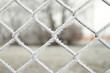 wire fence with hoarfrost
