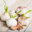 Garlic on wooden background