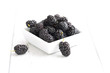 Mulberry - Morus celsa - Gelsi