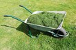 Gardening season - green lawn with wheelbarrow