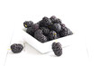 Mulberry - Morus celsa - Gelsi
