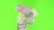 Romanian lei banknotes falling on green background