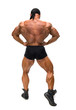 The bodybuilder back