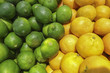 Photo: Lemon and limes Lemon and limes