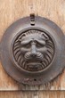Lion de porte