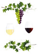 Rotwein und Weißwein