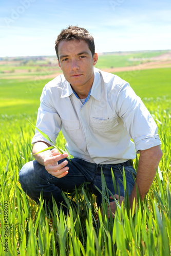 Photo: Farmer kneeling in wheat field Farmer kneeling in wheat field