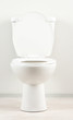 White toilet bowl in a bathroom