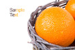 Orange in the basket