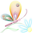 Butterfly on the flower