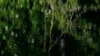 lake water