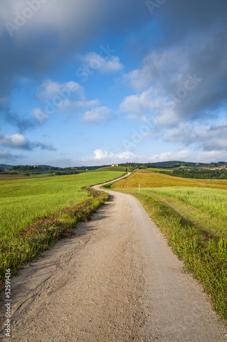 Photo: strada sterrata in campagna toscana,Toscana,Italia strada sterrata in campagna toscana,Toscana,Italia