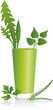 Green Smoothie ( Grüner Smoothie )