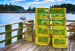 Lobster traps at a fishing pier