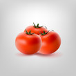 Three vector tomatoes