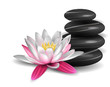 Water lily and zen stones