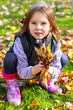Autumn leaves