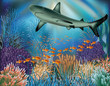 Underwater wallpaper with shark. vector illustration