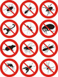 common household pests icon