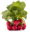 Small garden radish with leaves