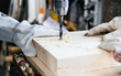 Holzbohrer