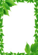 Green Leaves Frame