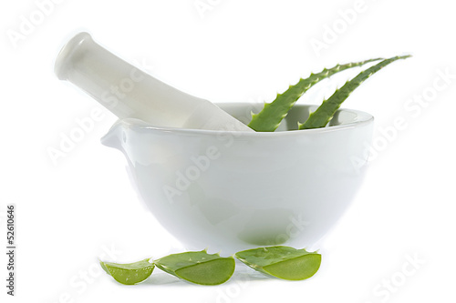 Photo: Aloe Vera dans un Mortier - Extraction du gel Aloe Vera dans un Mortier - Extraction du gel