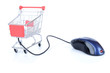 online shopping