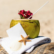 Caribbean paradise beach coconuts cocktail