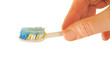 Woman hand holding a tooth brush with blue paste