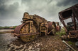 abandoned roller