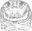 Vector: corocodile with neck corocodile with neck
