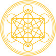 Merkaba in Flower of Life ( Merkaba in Blume des Lebens )