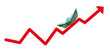 courbe de croissance