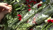 Laying Flowers. Slow Motion at a rate of 480 fps