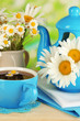 Beautiful bouquet chamomiles in teapot