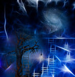 Illustration: Tree climb Tree climb