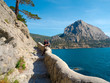 Male hiker on a stony sea shore