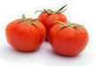 fresh tomatoes on a white background