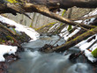 Schneeschmelze auf Rügen/Jasmund Nationalpark