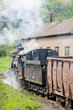 steam freight train (126.014), Resavica, Serbia