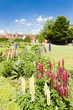 Foto: Nash house and New Place garden, Stratford-upon-Avon, Warwickshi Nash house and New Place garden, Stratford-upon-Avon, Warwickshi
