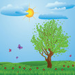 Tree on meadow