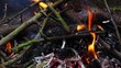 Burning twigs and cones.